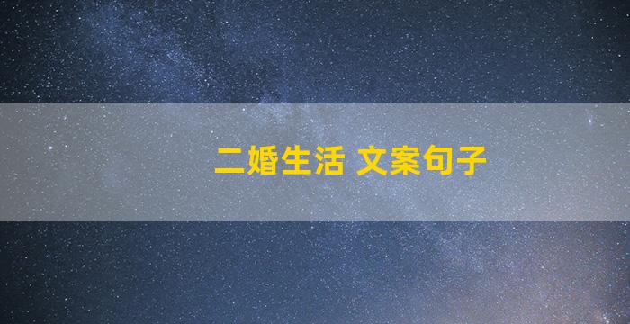 二婚生活 文案句子